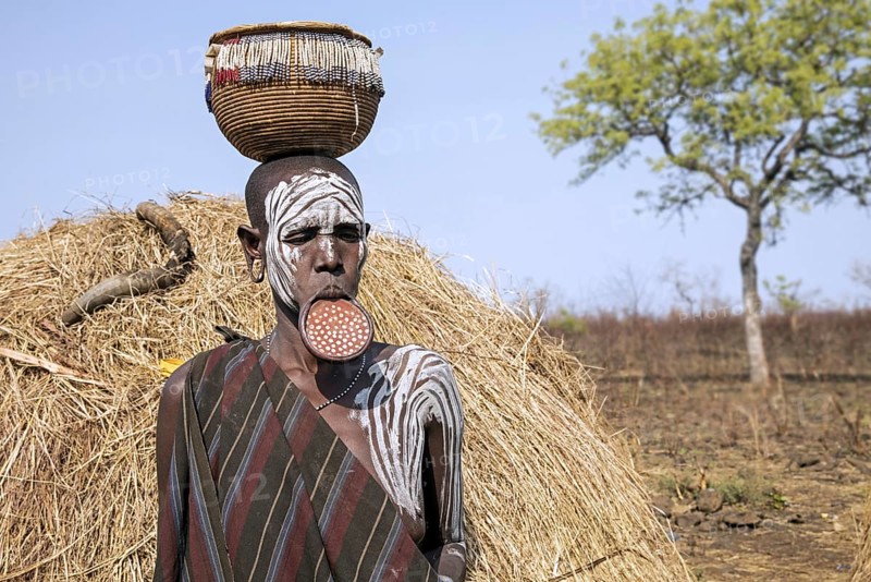 Painted woman of the Mursi tribe wearing lip plate and basket on her head in the Mago National Park, Jinka, Debub Omo Zone, Southern Ethiopia