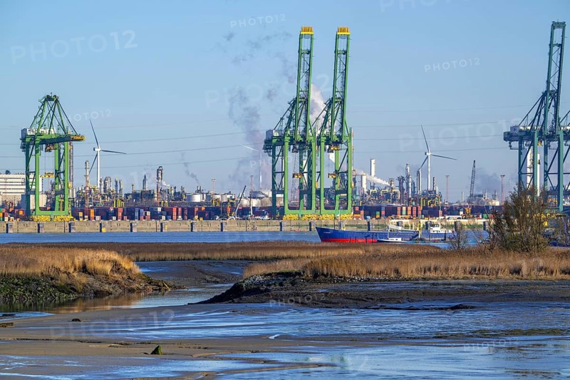 Antwerp port an breach in dike creating salt marsh in the Western Scheldt estuary at nature reserve Prosperpolder, East Flanders, Belgium, Europe