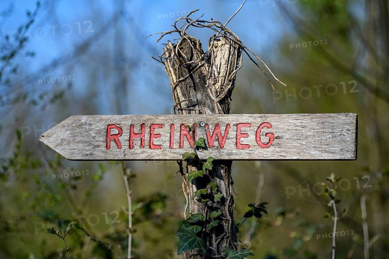 Signposting Rhine Trail, Cycle and Hiking Trail in the Altrheinauen on the Upper Rhine, near Freistett, Rheinau, Ortenaukreis, Baden-Württemberg, Germany, Europe