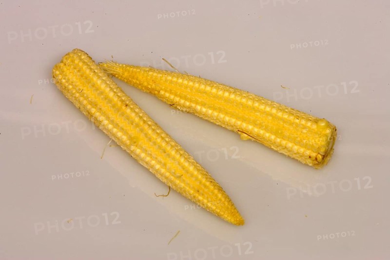 Corn (Zea mays) on the corn cob, sweet corn