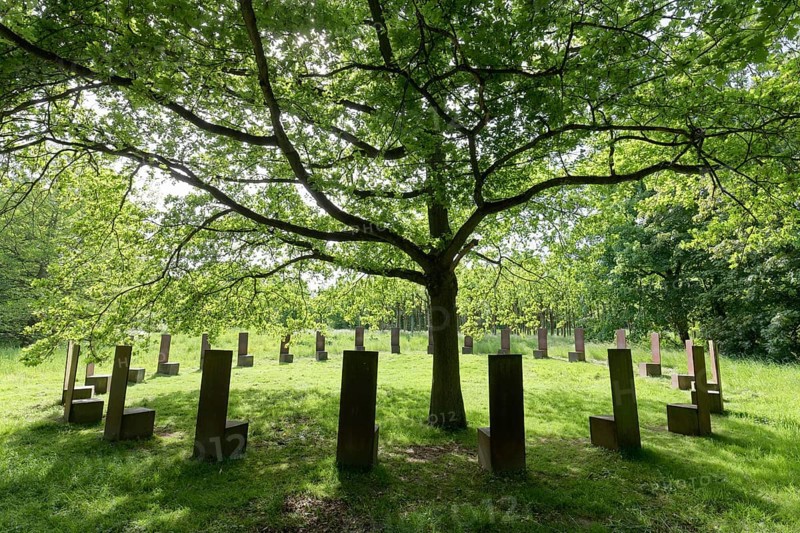 Steel chairs stand in a circle around an oak tree in a green meadow, Spring, The Parliament, installation by Anatol Herzfeld, Museum Insel Hombroich, Neuss, North Rhine-Westphalia, Germany, Europe