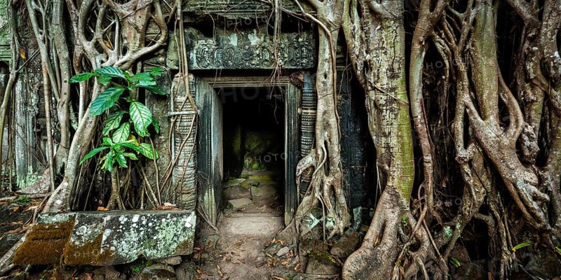 Travel Cambodia concept background, Panorama of ancient stone door and tree roots, Ta Prohm temple ruins, Angkor, Cambodia, Asia