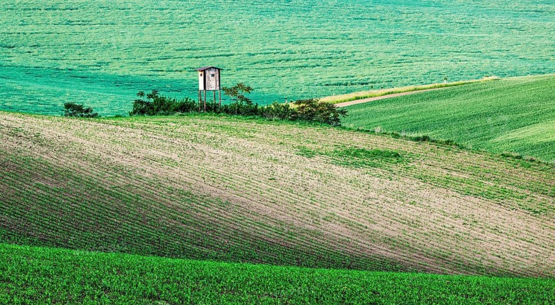 Rural Europe background, Moravian rolling landscape with hunting tower shack on sunset. Moravia, Czech Republic, Europe