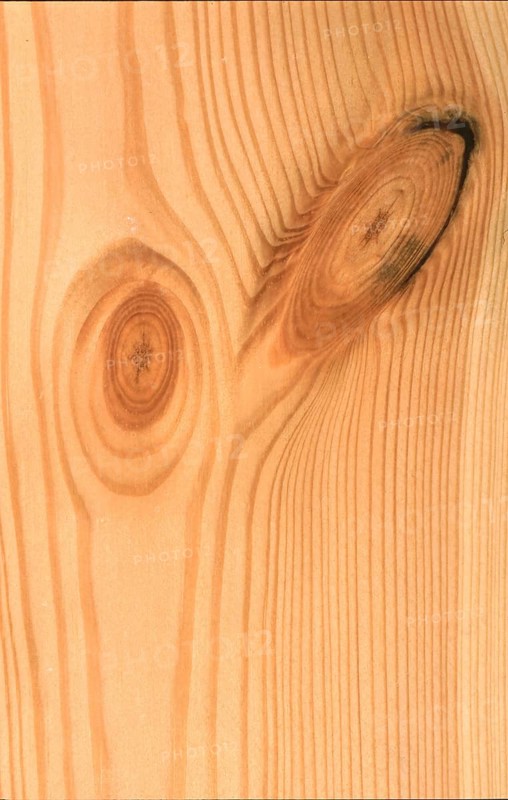 Wood structure, birch wood with stone finish