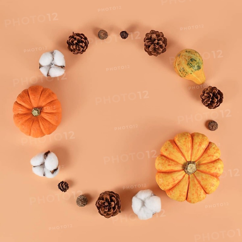 Seasonal autumn decoration like pumpkins and fir cones forming circle on beige background with empty copy space in middle