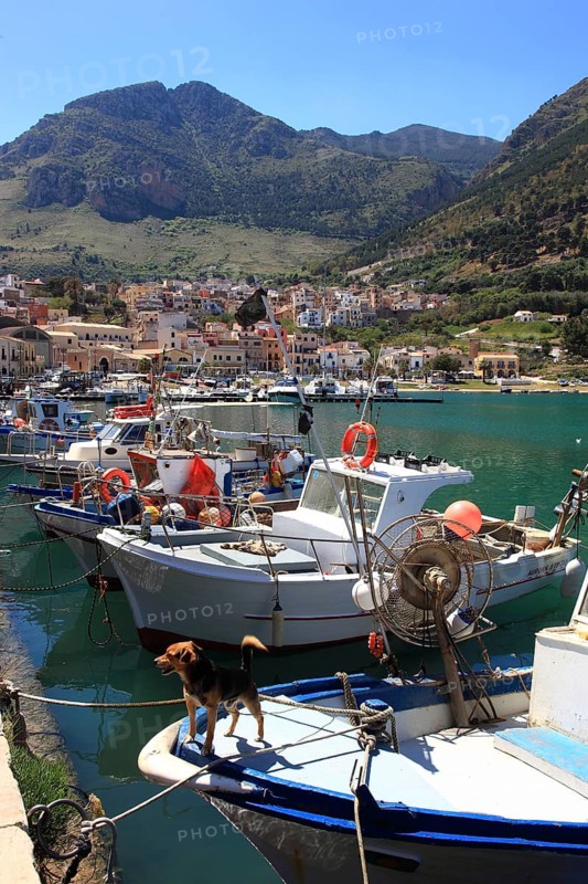 Boats in the fishing port of Castellammare del Golfo, municipality in the province of Trapani, Sicily, Italy, Europe