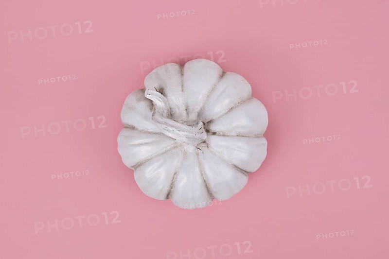 Top view of white decorational pumpkin on pink background
