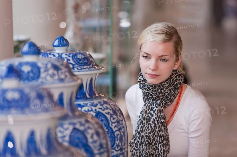 Dresden Porcelain Collection