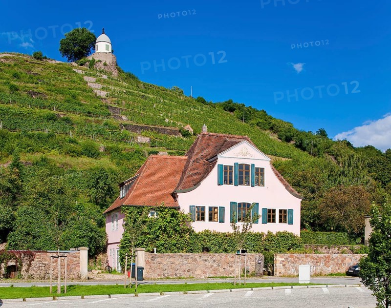 Vineyards and winegrower's house at the Schloss Wackerbarth winery