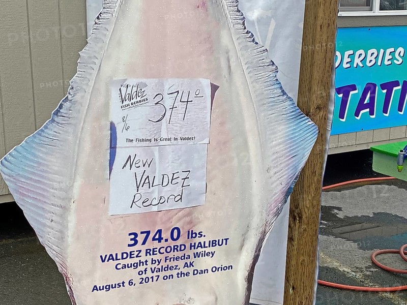 Billboard for the biggest fish caught so far, record, halibut, Prince William Sound, autumn, Valdez, Alaska, USA, North America