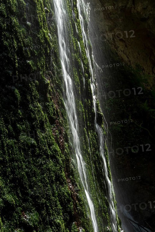 Waterfall. Auvergne volcanoes natural park. Puy-de-Dome department. Auvergne-Rhone-Alpes. France