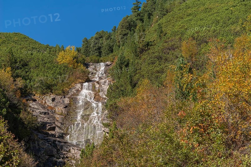 Riepenbach waterfall at Schlegeisspeicher, forest, autumn colours, Ginzling, Zillertal, Zillertal Alps, Tyrol