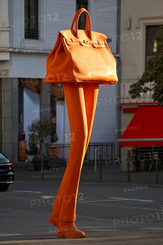 The bronze sculpture Walking Bag by Erwin Wurms at the entrance of the urban shopping zone, Bonn, North Rhine-Westphalia, Germany, Europe