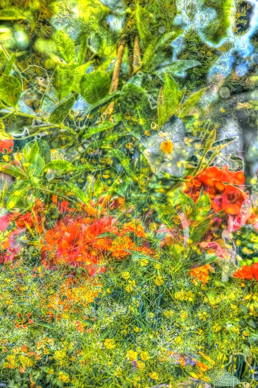 Oil painting, diverse flowers, wildflower meadow, buttercups (Ranunculaceae), red, yellow and white flowers creative, different plants mixed, artistic shot, flowers alienated, plants, impressionistic art style, vivid spring atmosphere, allover, alienation, dense flower field, bright and soft colours, garden, bed, plants, Germany, Europe