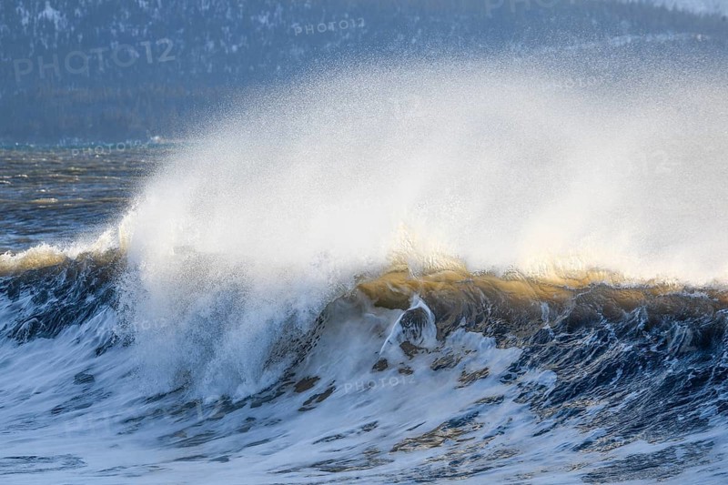Large wave breaks during winter storm on Kachemak Bay beach, near Home on the Kenai Peninsula, Alaska, USA, North America