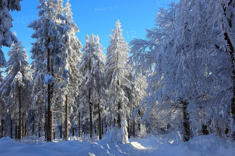 Winter landscape in the Fichtelgebirge, Bayreuth district, Upper Franconia, Bavaria, Germany, Europe