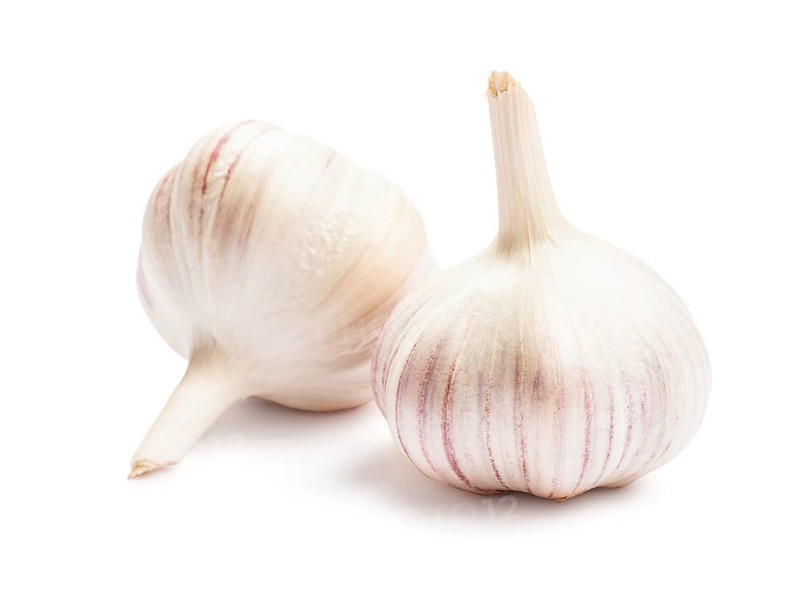 Two garlic bulbs isolated on white background