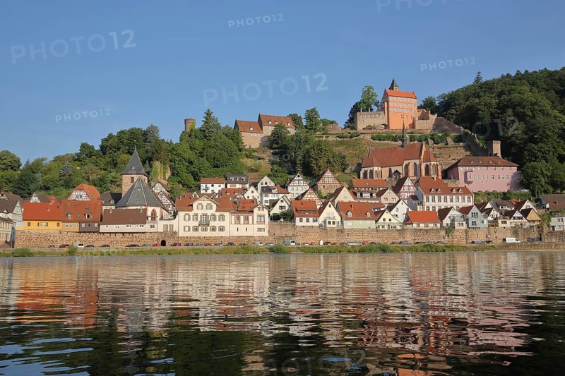 Townscape of Hirschhorn am Neckar with castle, monastery church and market church, Neckar valley, Odenwald, Hesse, Germany, Europe