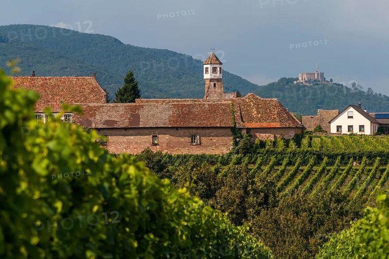 Heilbruck Monastery, Hambach Castle in the background, Edenkoben, Palatinate, Rhineland-Palatinate, Germany, Europe