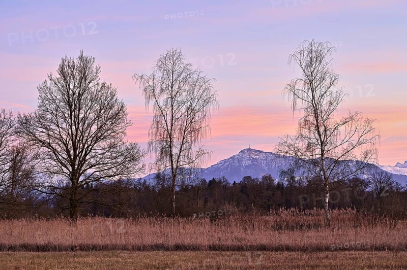 Evening atmosphere in the Reussspitz nature reserve behind the Rigi, Hünenberg, Canton Zug, Switzerland, Europe