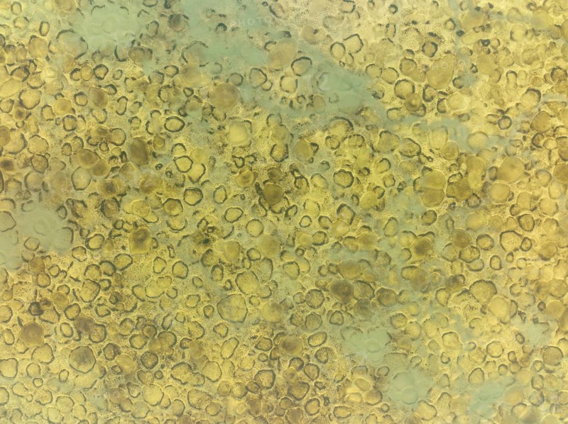 Conspicuous patterns at the bottom of the shallow lagoon Salinas de Cerrillos, aerial view, drone shot, Almería province, Andalusia, Spain, Europe