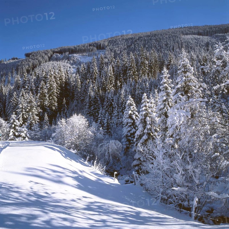 AUT, Austria, Gasteiner Tal: Winter in the Gasteiner Tal, here on 26.12.1994, offers a wealth of beautiful impressions and sporting activities, such as downhill skiing and cross-country skiing without major difficulties, Europe