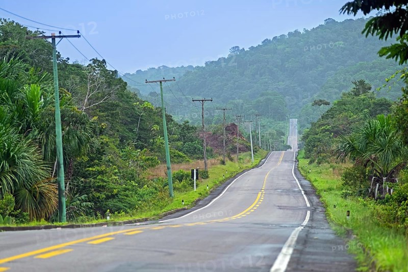 Route 174, BR-174, federal highway crossing the Amazon rainforest, rain forest, jungle in the Brazilian state of Amazonas, Brazil, South America