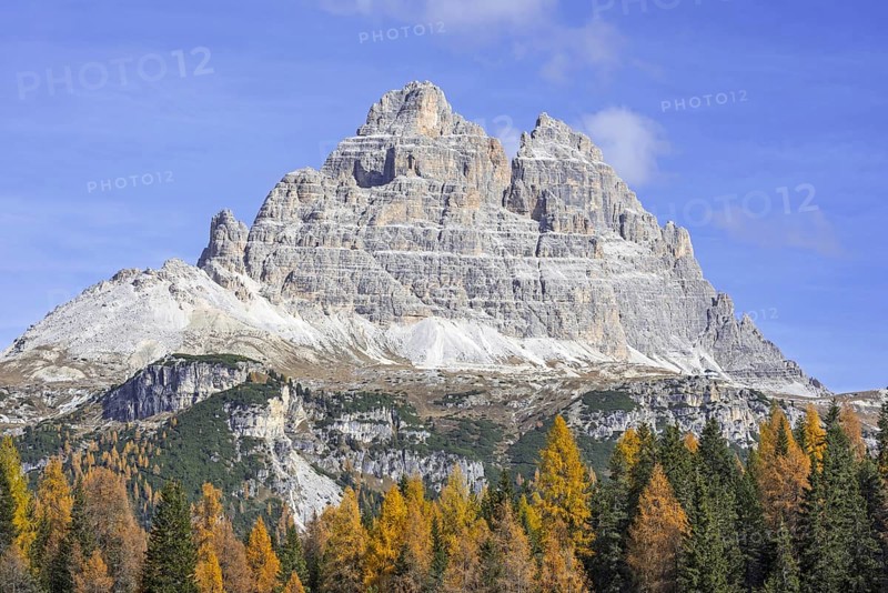 Southside of the mountain Drei Zinnen, Tre Cime di Lavaredo and larch trees in the Tre Cime Natural Park in autumn, Dolomites, South Tyrol, Italy, Europe