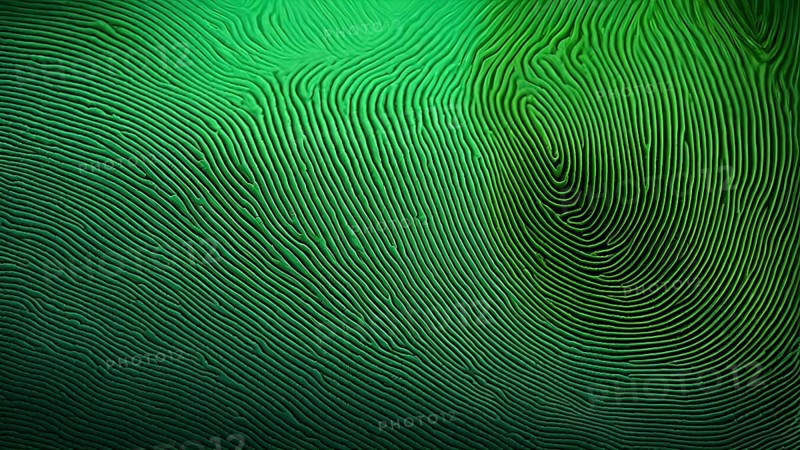Fingerprint background dominated by swirl patterns in green hues, AI generated