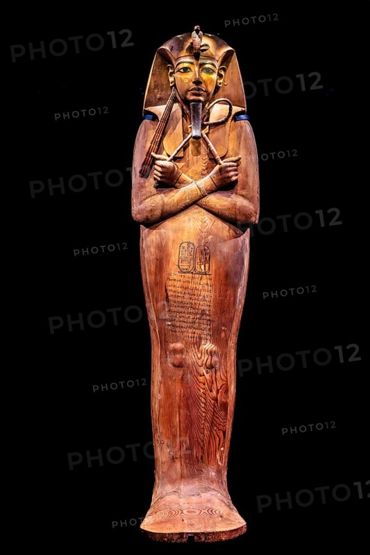 Cedar coffin of Ramses II with its cartouche from the exhibition: Ramses the Great and the Gold of the Pharaohs, Cologne, North Rhine-Westphalia, Germany, Europe