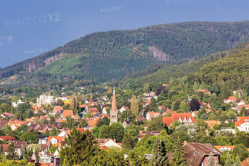 Bad Harzburg, 10.08.2014., Bad Harzburg, Germany, Europe
