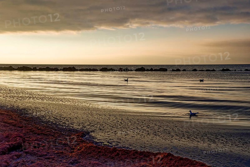 Sunset on the Baltic Sea beach, Wustrow beach in the evening light with clouds, evening mood, Baltic seaside resort Wustrow, Fischland-Darß-Zingst peninsula, Mecklenburg-Western Pomerania, Germany, Europe