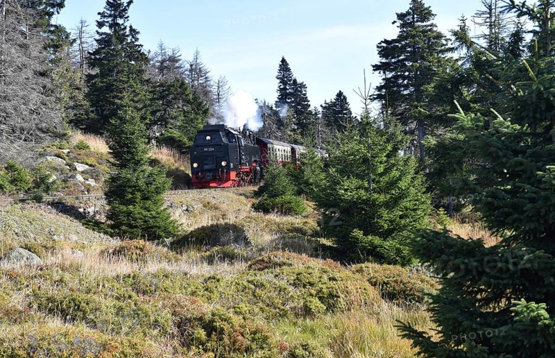 Brocken Railway of the Harz Narrow Gauge Railway runs through the Harz Mountains, Saxony-Anhalt, Germany, Europe