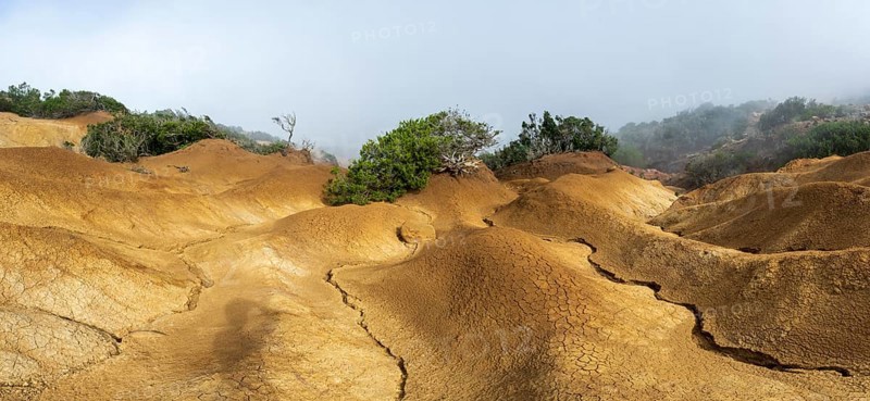 Clouds of fog, yellow earth, erosion, near Arguamul, La Gomera, Canary Islands, Spain, Europe