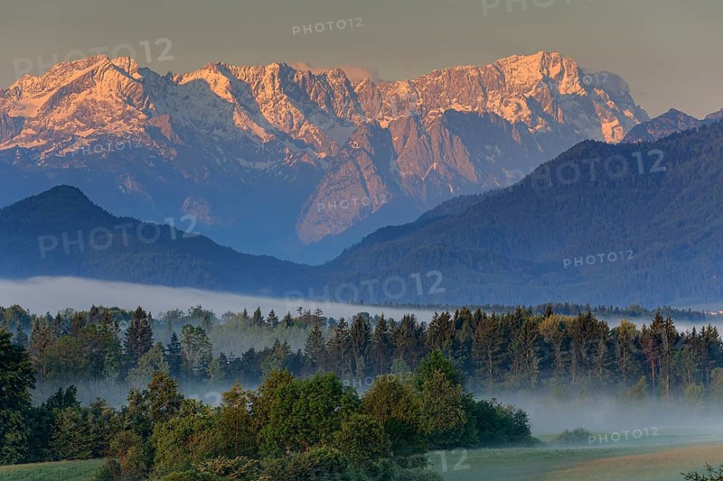 Morning fog over the foothills of the Alps, near Murnau, Wetterstein Mountains and Zugspitze in the background, Bavaria, Germany, Europe