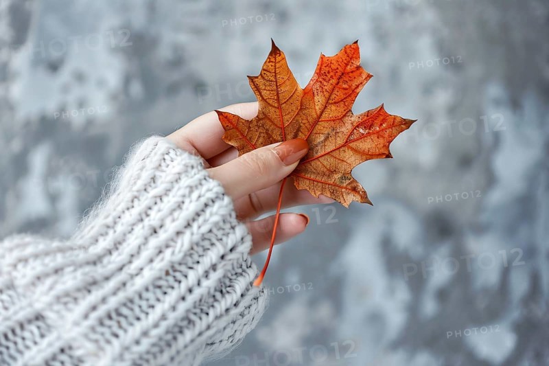 Woman's hand in white sweater holding single orange autumn leaf. Generative AI, AI generated