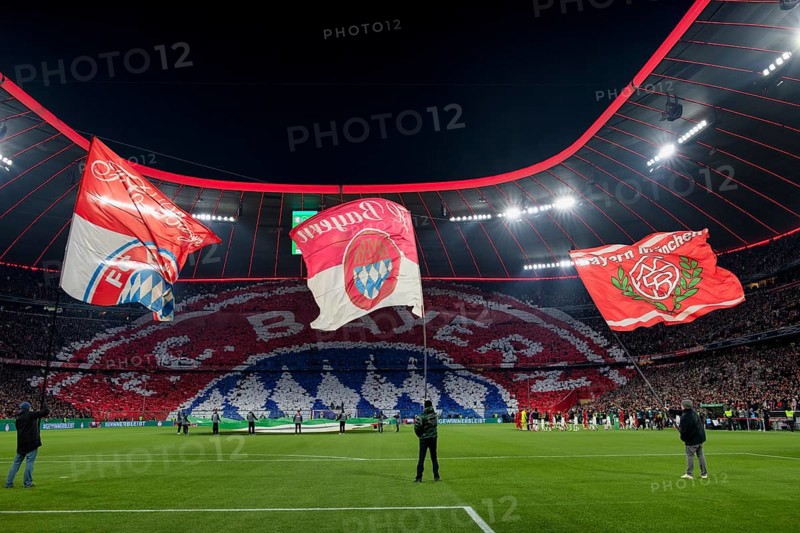 Choreo, choreography, fan action, flags, flag waving, interior, DFB Cup round of 16, Allianz Arena, Munich, Bavaria, Germany, Europe
