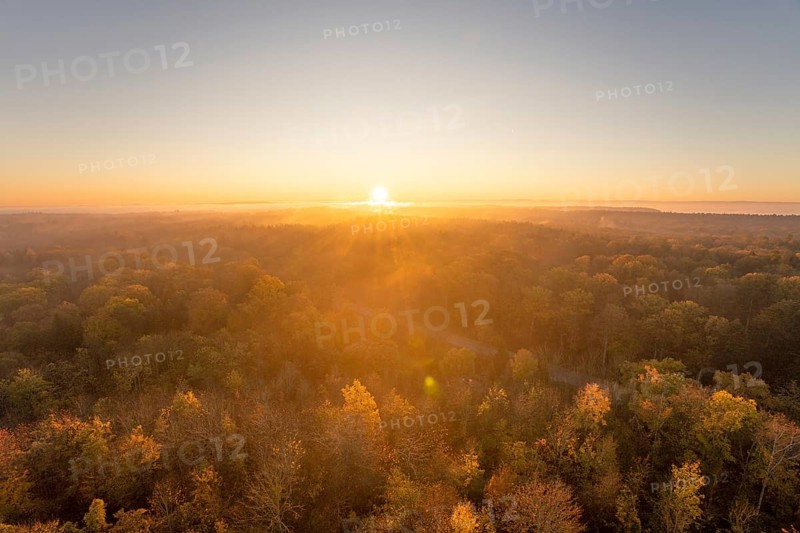 Golden light over misty autumn forests, warm morning atmosphere, Herrenberg, Germany, Europe