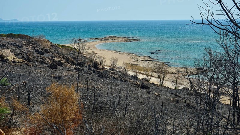 Burnt coastal landscape with a view of the beach and the turquoise blue sea, burnt-out bushes, forest fires, summer 2023, forest fire damage, Princess Beach Hotel, Kiotari, Rhodes, Dodecanese, Greek Islands, Greece, Europe