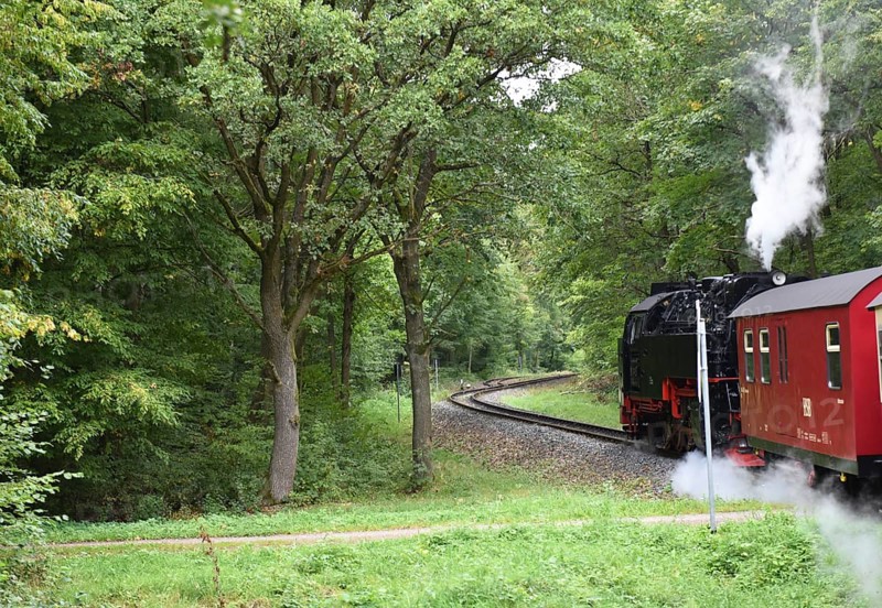 Selketalbahn, Harzer Schmalspurbahn, Brockenbahn runs through the Harz Mountains, Saxony-Anhalt, Germany, Europe