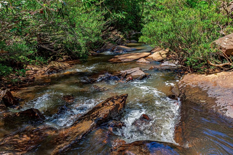 A stream of calm waters running through the rainforest between the rocks Minas Gerias, Brazil, South America