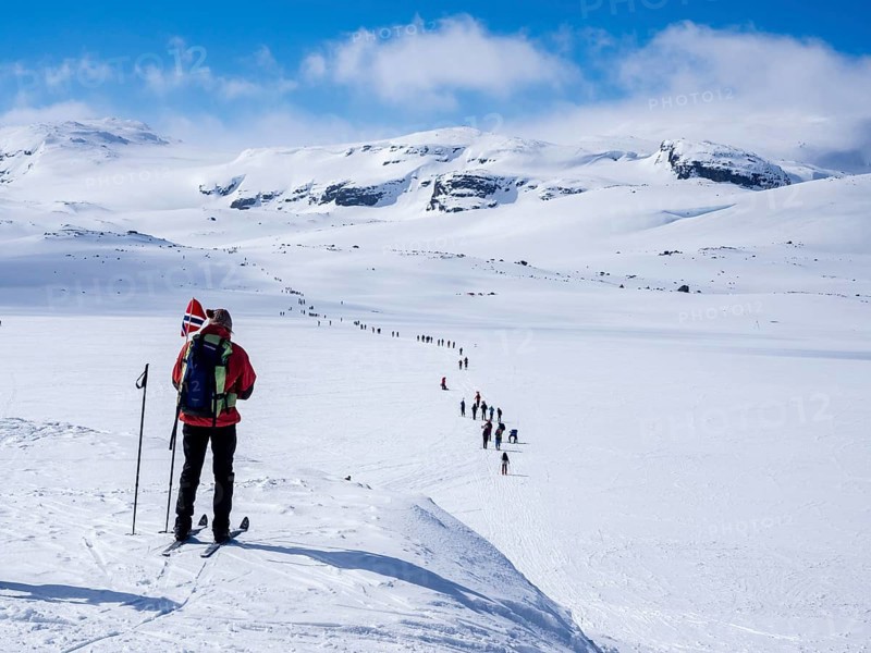 National day 17th May, Norwegians hike on ski, carrying norwegian flags, hike from Finse, highest railroad station on railroad line Oslo-Bergen, to glacier Hardangerjøkull, Hardanger, Norway, Europe