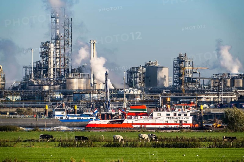 Cargo ship on the Rhine near Emmerich, Kao Chemicals backdrop, specialising in surfactants, KLK, Left Rhine pastures, Lower Rhine, North Rhine-Westphalia, Germany, Europe