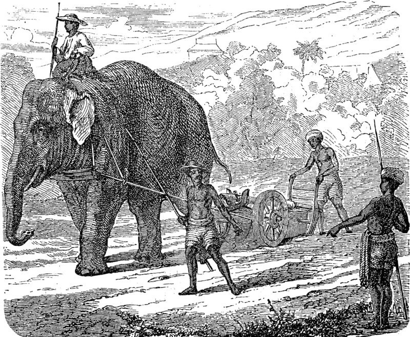 Agriculture, tillage in India, ploughing with an elephant, 1880, Historic, digital reproduction of an original 19th century model