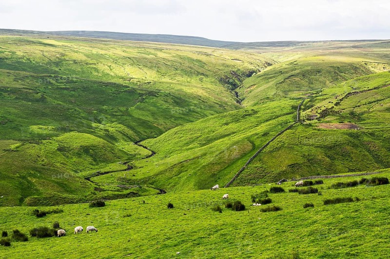 Farms over North Pennines, Cumbria, Durham, Northumberland, North Yorkshire, England, United Kingdom, Europe
