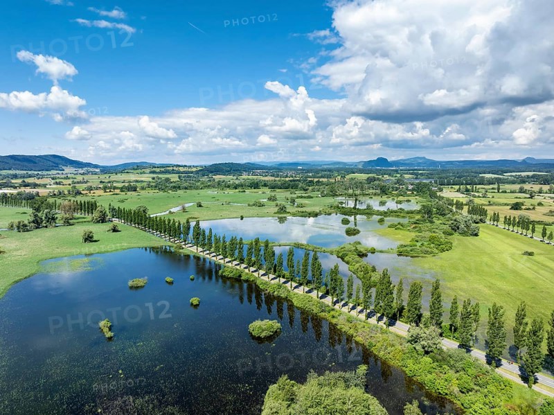 Aerial view of western Lake Constance with the Radolfzeller Aachried and the Mooser Damm at high water, on the horizon the Hegauberge Hohentwiel, Hohenstoffeln, Hohenhewen, Radolfzell, district of Constance, Baden-Württemberg, Germany, Europe