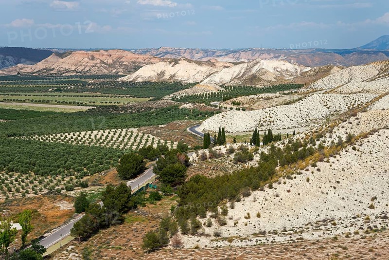 Desert landscape with winding roads, scattered trees and mountains under a cloudy sky, Dehesas de Guadix, Gorafe Desert, Granada, Andalusia, Spain, Europe