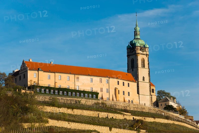 Historic castle with tower on a hill under a blue sky in the evening sun, Melnik Castle, Church of St Peter and Paul, Melnik, Melnick, River Elbe, Central Bohemia, Czech Republic, Europe