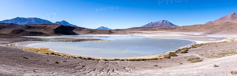 Panorama of Laguna Honda, lined with a few bushes, lagoon route, San Pedro de Quemes, Departamento Potosí, Bolivia, South America