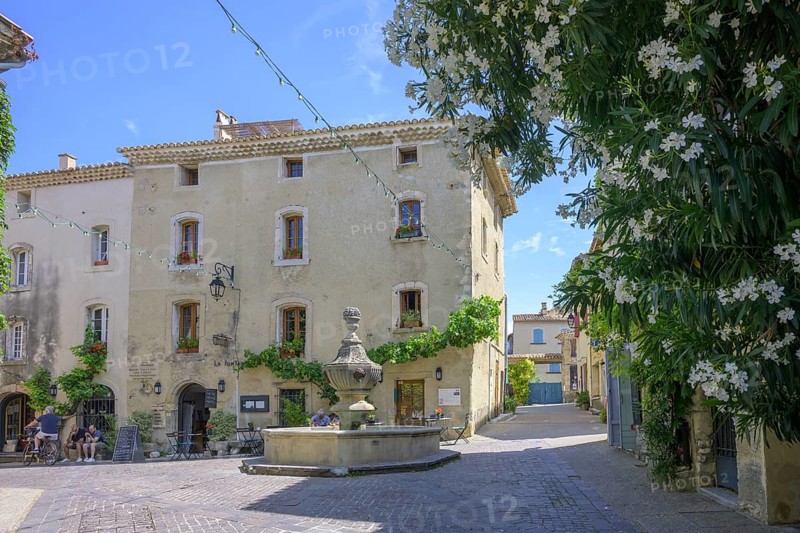 Square with fountain and large white flowering oleander in the old town centre of Venasque, Département Vaucluse, France, Europe